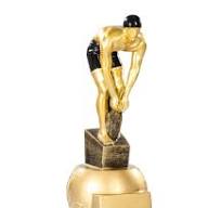 Reconociendo la Excelencia en Natación: Trofeos que Inspiran