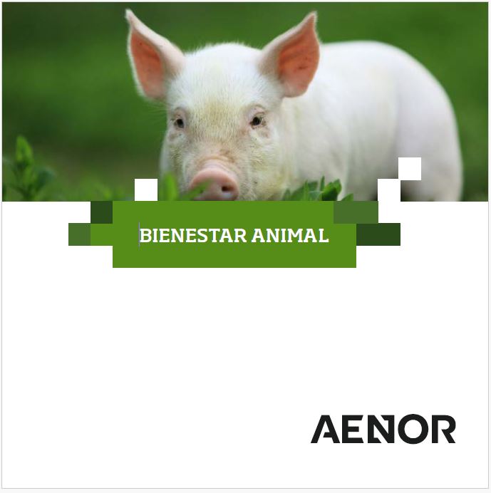 Promoviendo el Bienestar Animal: El Compromiso de AENOR