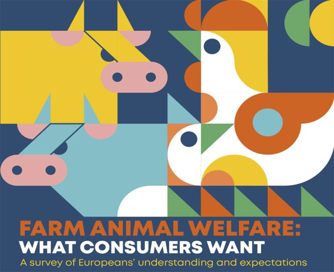 Promoviendo el Bienestar Animal: Una Responsabilidad Compartida