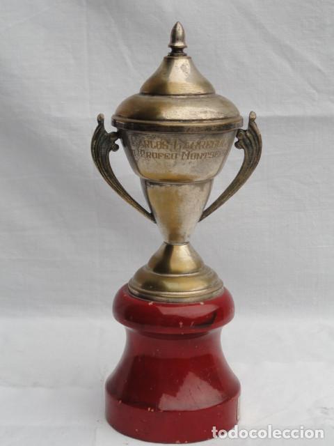 Trofeos Carlos: Excelencia en Diseño y Calidad para tus Celebraciones