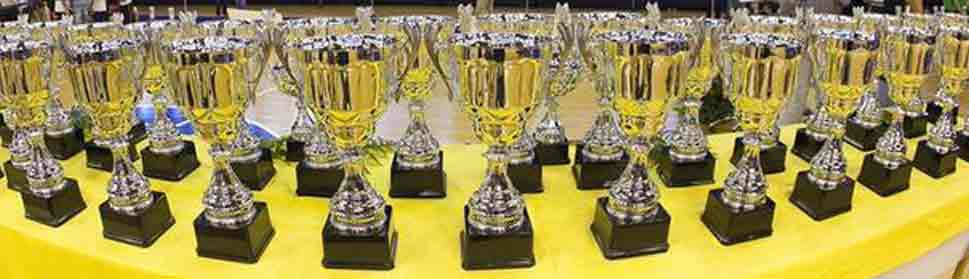 Excelencia y Reconocimiento: Los Prestigiosos Trofeos Carlos