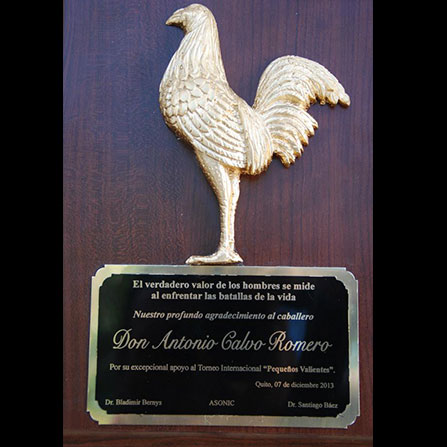 El Significado Cultural de los Trofeos de Gallos en las Peleas Tradicionales