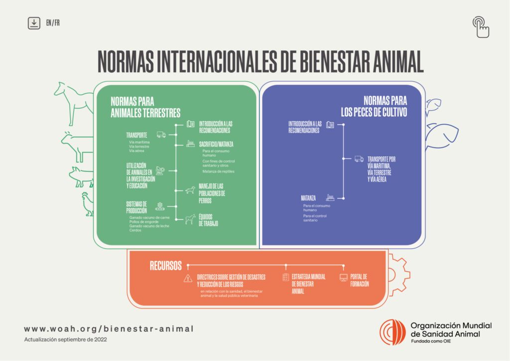 Promoviendo el Bienestar Animal: El Compromiso de la OIE