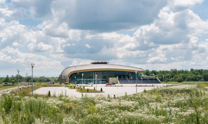 Vive la Emoción en la Sepsi Arena: Donde la Pasión se Encuentra con la Adrenalina