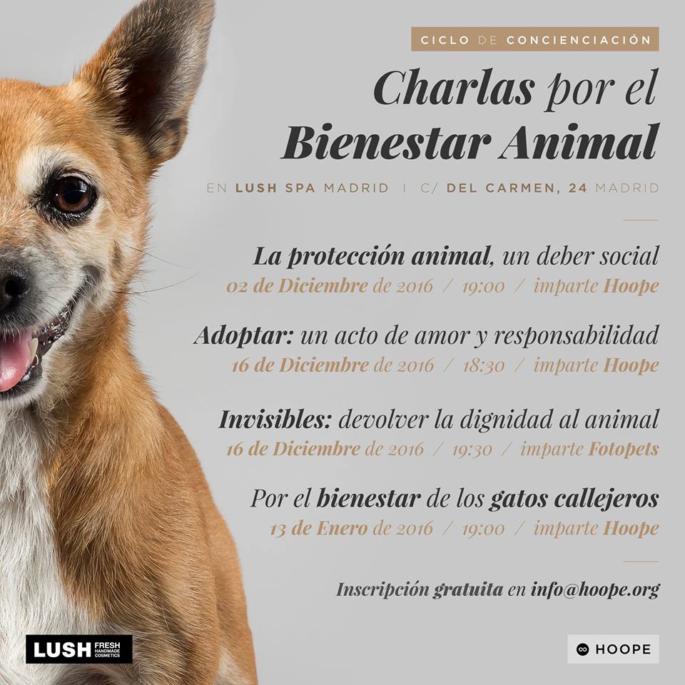 hoope bienestar animal