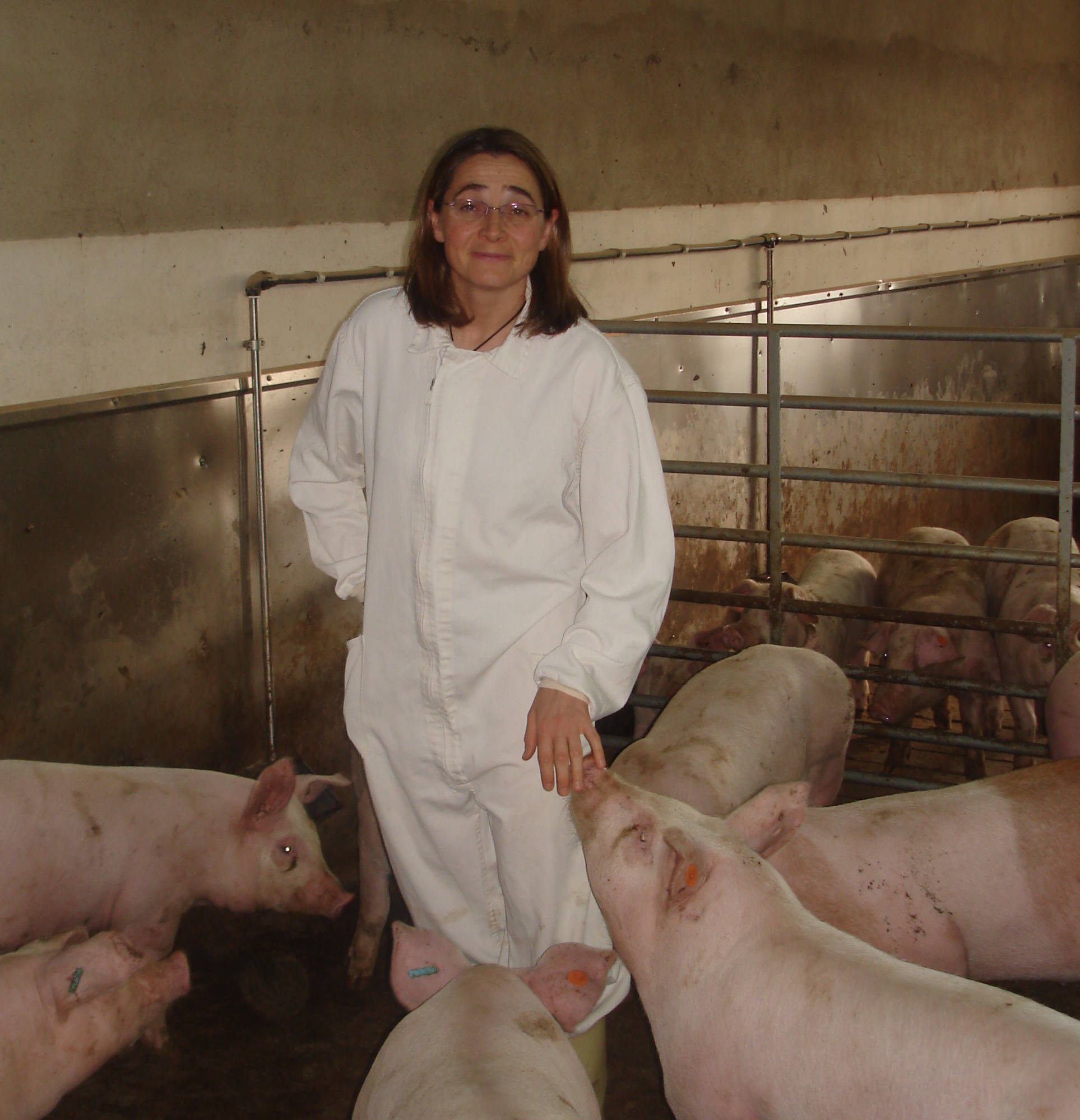 Compromiso del IRTA con el Bienestar Animal: Investigación y Desarrollo